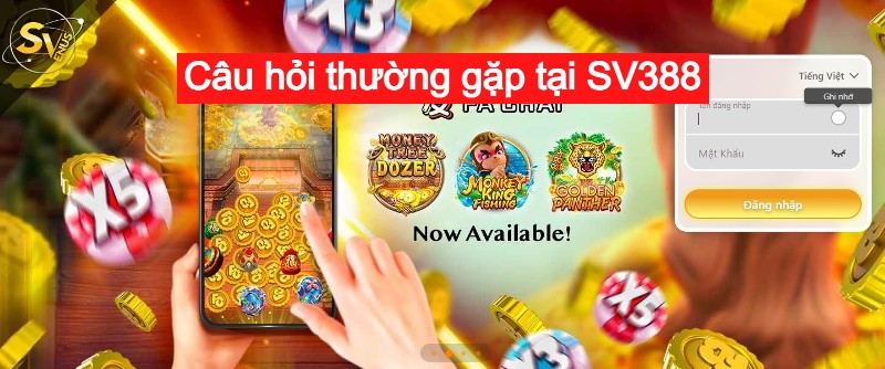 câu hỏi thường gặp tại sv388