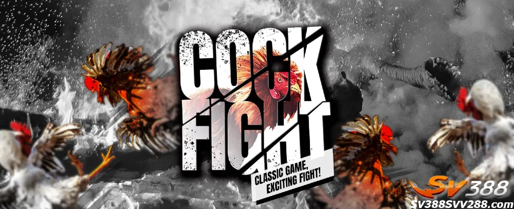 đá gà trực tuyến sv388